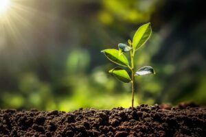 CMBM - Clean Maintain Build Manage - 233